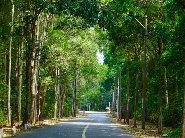 Bình châu phước bửu